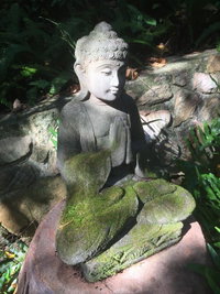 Book Coolum Accommodation Vacations Accommodation Great Ocean Road Accommodation Great Ocean Road