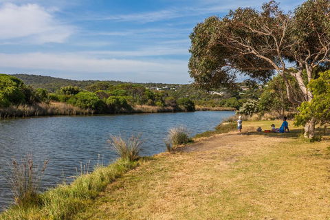 A River Bed Cottage - Accommodation Great Ocean Road 3