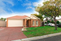Book Craigieburn Accommodation Vacations Accommodation Great Ocean Road Accommodation Great Ocean Road