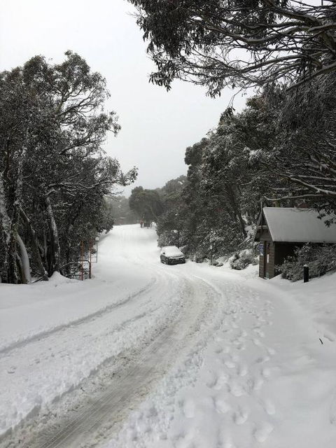 MAGNIFICENT SKIING ON MOUNT BULLER - Accommodation Great Ocean Road 3