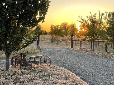 Maple Lane Farm Stay - Accommodation Great Ocean Road 0