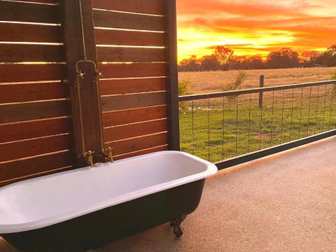Maple Lane Farm Stay - Accommodation Great Ocean Road 2
