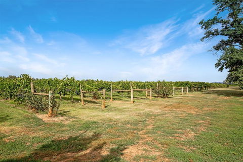 Milawa Vineyard Views - Guesthouse 2 - Accommodation Great Ocean Road 0