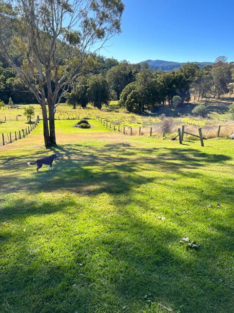 Misty Mountain Cottage At Krambach - Accommodation Great Ocean Road 2
