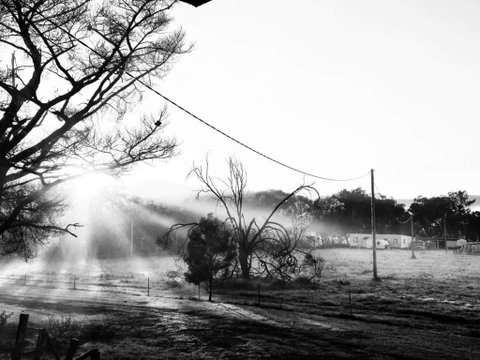 Mountview Wines And Accommodation - Accommodation Great Ocean Road 1