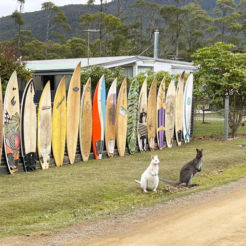 NOFOMO AT ADVENTURE BAY - Accommodation Great Ocean Road 0
