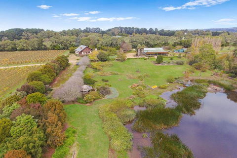 Northway Downs Estate Vineyard - Accommodation Great Ocean Road 2