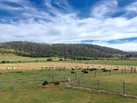 Old Entally Farm - Accommodation Great Ocean Road 1