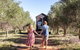 Olive Grove Retreat 2 By Tiny Away - thumb 0