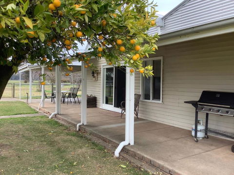 Orange Tree Cottage - Accommodation Great Ocean Road 0