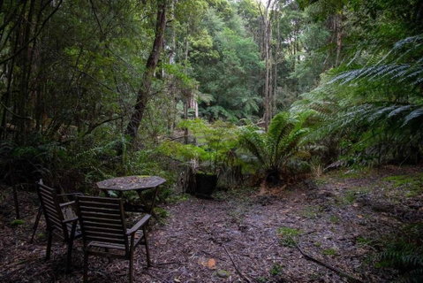 Parkwood Cottage - Accommodation Great Ocean Road 1