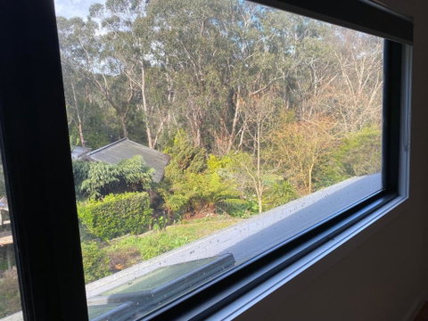 Pet And Friends B&B - Accommodation Great Ocean Road 3