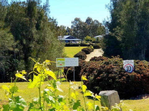 Red Door Collective - RDC Vineyard Estate, Luxury Adult Only Stay - Accommodation Great Ocean Road 0