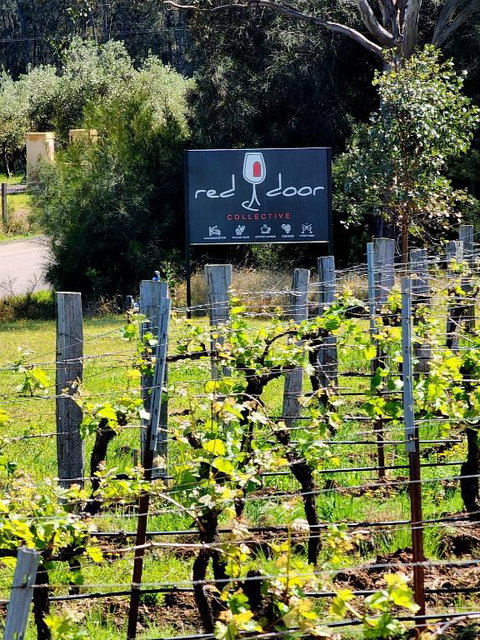 Red Door Collective - RDC Vineyard Estate, Luxury Adult Only Stay - Accommodation Great Ocean Road 1