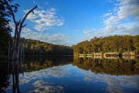RAC Karri Valley Resort - Accommodation Great Ocean Road 3