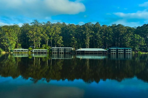 RAC Karri Valley Resort - Accommodation Great Ocean Road 2