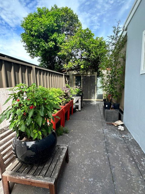 Private, Local Living Studio In Mascot, Airport - Accommodation Great Ocean Road 2