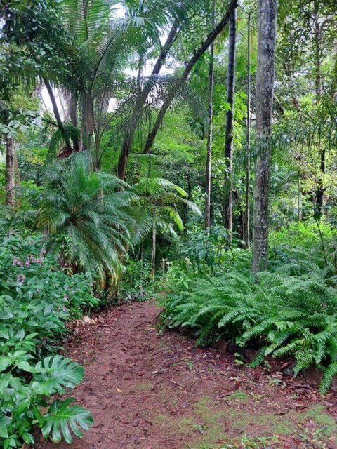 Rainforest Retreat-Fireplace-BBQ-3 Acres- - Accommodation Great Ocean Road 0