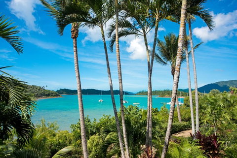 Baybliss Apartments Studio 1 - Accommodation Great Ocean Road 2