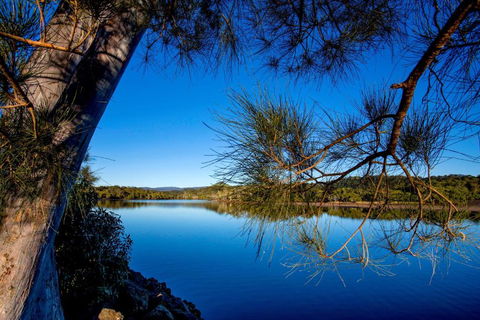 Reflections Ferry Reserve - Holiday Park - Accommodation Great Ocean Road 2