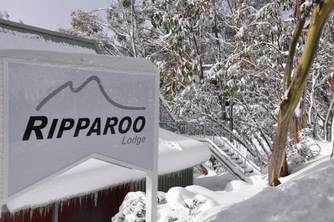 Ripparoo Lodge - Accommodation Great Ocean Road 0