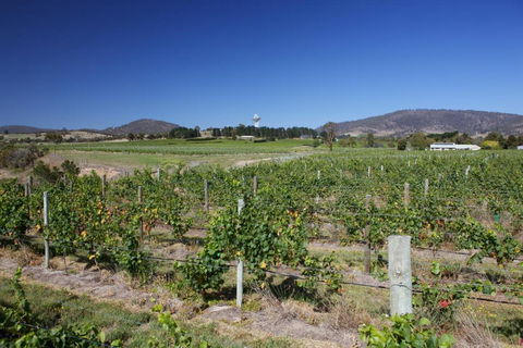 Riversdale Estate Cottages - Accommodation Great Ocean Road 1