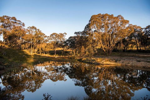 Rose Quartz - 1 Bed With Mountain Views - Kundalini Lodge - Accommodation Great Ocean Road 1