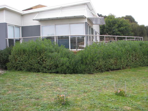Sandbar Beach House - Accommodation Great Ocean Road 3