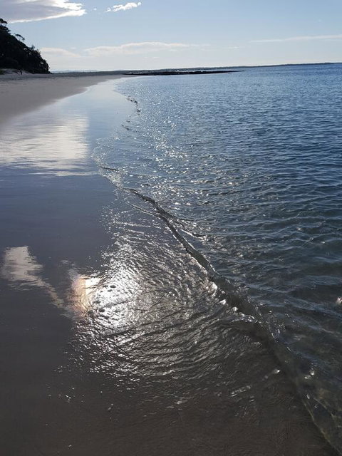 Beachside Husky - Waterfront - Accommodation Great Ocean Road 3