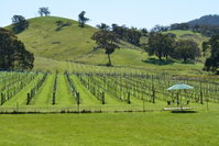 Book Mount Cole Accommodation Vacations Accommodation Great Ocean Road Accommodation Great Ocean Road