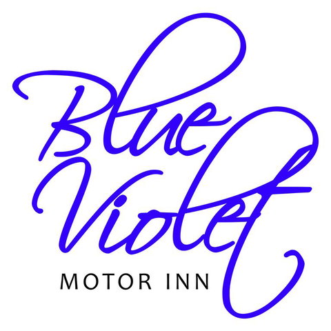 Blue Violet Motor Inn - Accommodation Great Ocean Road 3