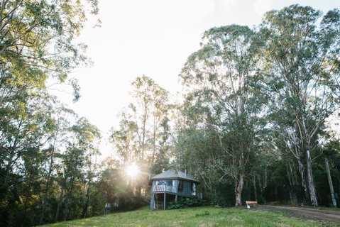 Bluegums Cabins - Accommodation Great Ocean Road 0