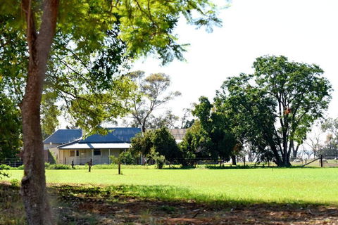 The Jetty House - Lake Frontage Barmera Riverland - Accommodation Great Ocean Road 3