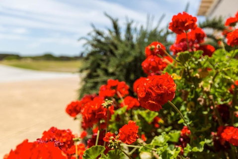 Wytonia Beachfront Accommodation - Accommodation Great Ocean Road 3
