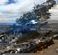 kunanyi / Mt Wellington Explorer Bus - 2 Hour Return Tour - Accommodation Great Ocean Road