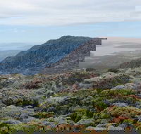 kunanyi/Mt Wellington Explorer Bus - One Way Tour - Accommodation Great Ocean Road