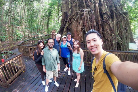 Cairns National Park Rainforest And Waterfall Small Group Tour Shore Excursion - Accommodation Great Ocean Road 2