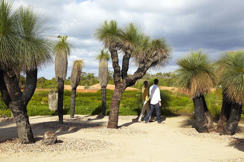 1 Day Exclusively Private Tour Of Phillip Island & The Penguin Parade - Accommodation Great Ocean Road 0