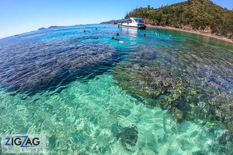Whitehaven Beach Day Tour With Snorkel In Whitsundays Island - Accommodation Great Ocean Road 5