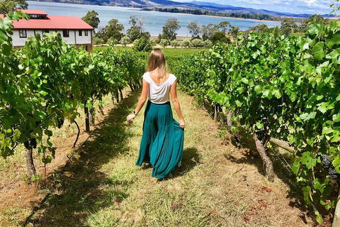 Tamar Valley Wine Tour With Lunch - Accommodation Great Ocean Road 2