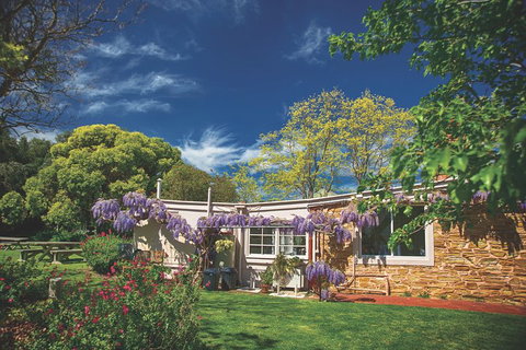 McLaren Vale Winery Small Group Tour With Wine Tasting And Lunch - Accommodation Great Ocean Road 2