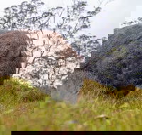 3-Day Cradle Mountain Photography Workshop - Accommodation Great Ocean Road