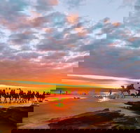 1 Hour Broome Sunset Camel Tour - Accommodation Great Ocean Road