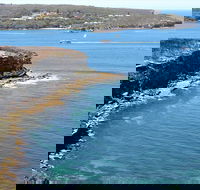 Half day Manly Beach and more - Accommodation Great Ocean Road
