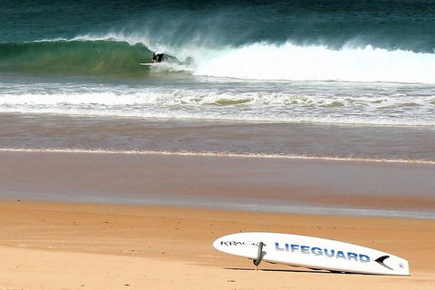 Half Day Manly Beach And More - Accommodation Great Ocean Road 5
