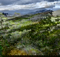 3-Day Tour to the Falls Mountains Lake  More of West Coast Tasmania - Accommodation Great Ocean Road