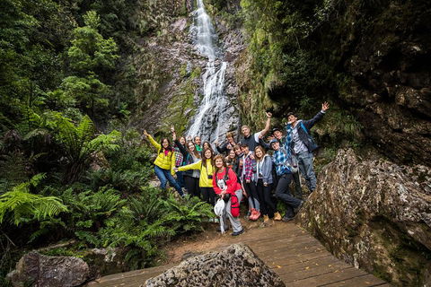 5-Day Lap Of Tasmania Tour From Hobart (flexible Ticket) - Accommodation Great Ocean Road 0