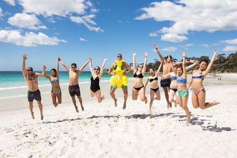 5-Day Lap Of Tasmania Tour From Hobart (flexible Ticket) - Accommodation Great Ocean Road 4