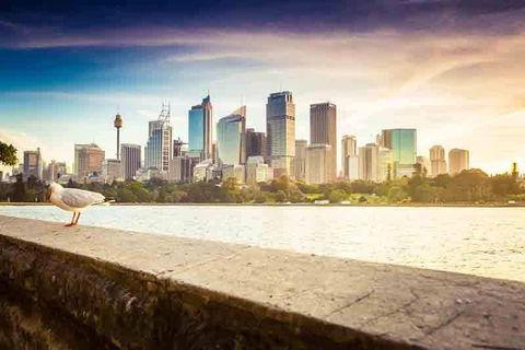Private Sydney City And Bondi Beach Half Day Tour - Accommodation Great Ocean Road 2