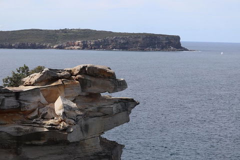 Private Sydney City And Bondi Beach Half Day Tour - Accommodation Great Ocean Road 3